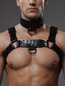 BDSM Collar "Alex"