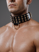 BDSM Collar "Alex"