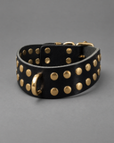 BDSM Collar DREW