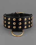 BDSM Collar "Alex"